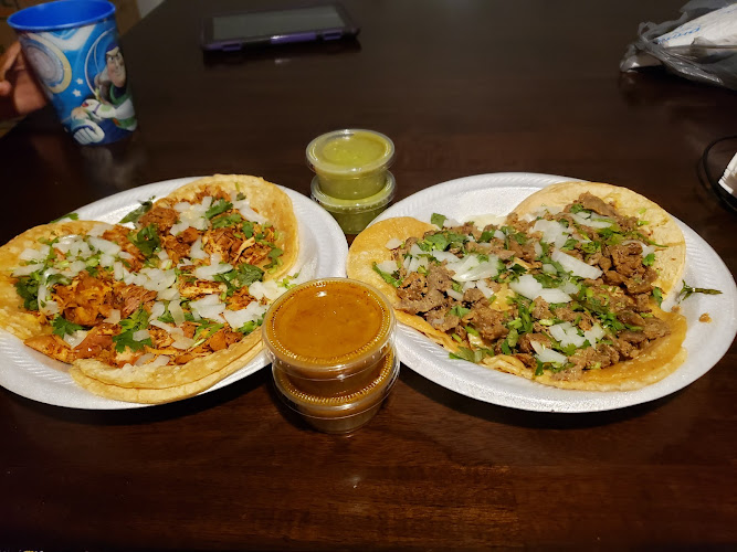 Pollo Veloz Carbonico Pollo Veloz Carbonico